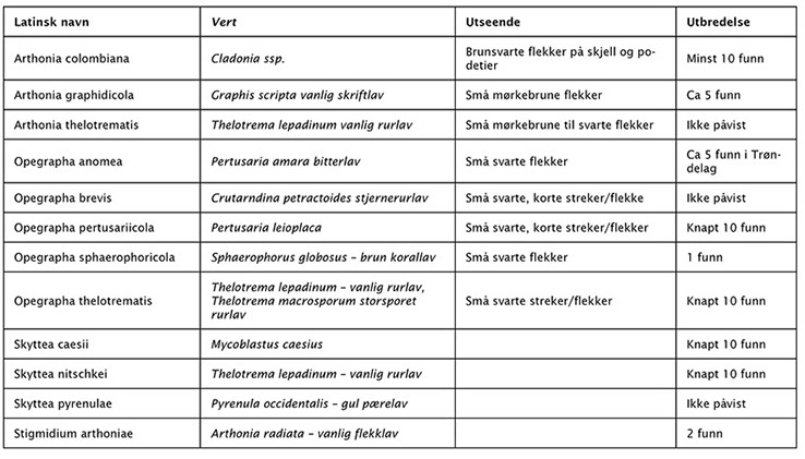 Tabell